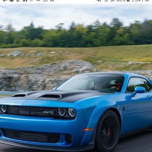 Meet your Posher, Logan